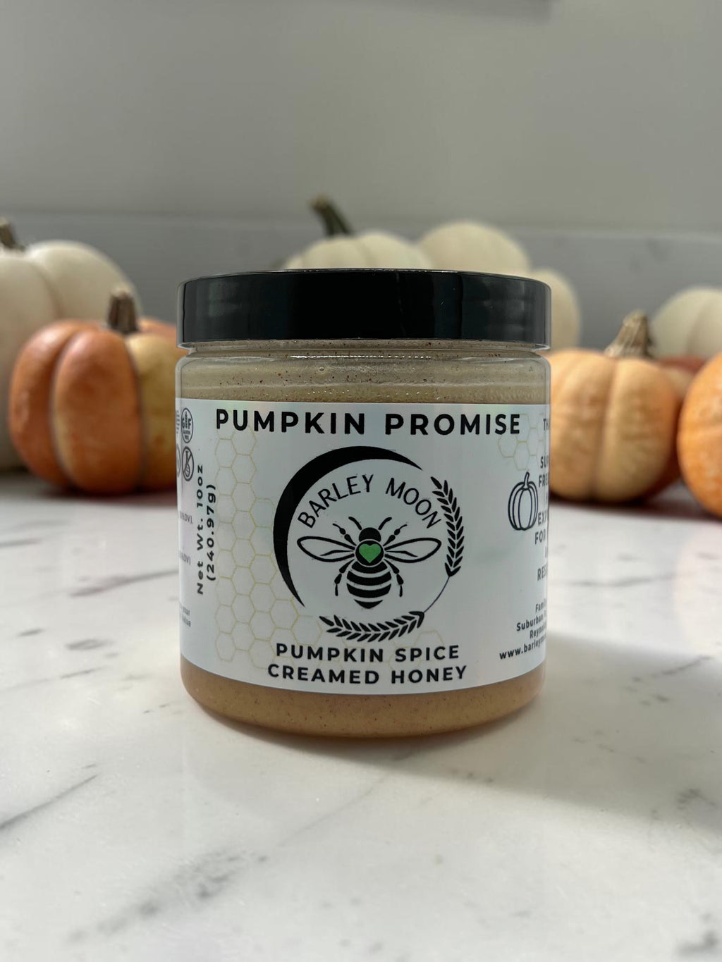 Barley Moon Botanicals Pumpkin Promise creamed honey jar with pumpkin spice blend on a marble surface with pumpkins