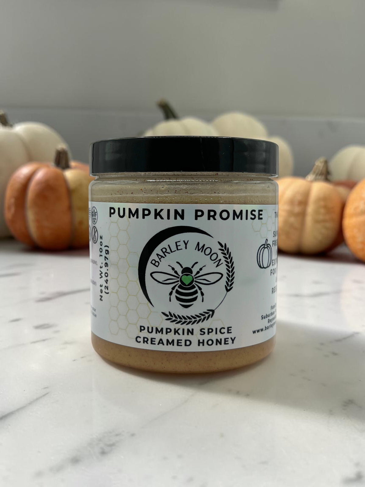 Barley Moon Botanicals Pumpkin Promise creamed honey jar with pumpkin spice blend on a marble surface with pumpkins